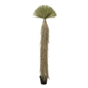 Kare Design Kunstplanten – Yucca – 240cm