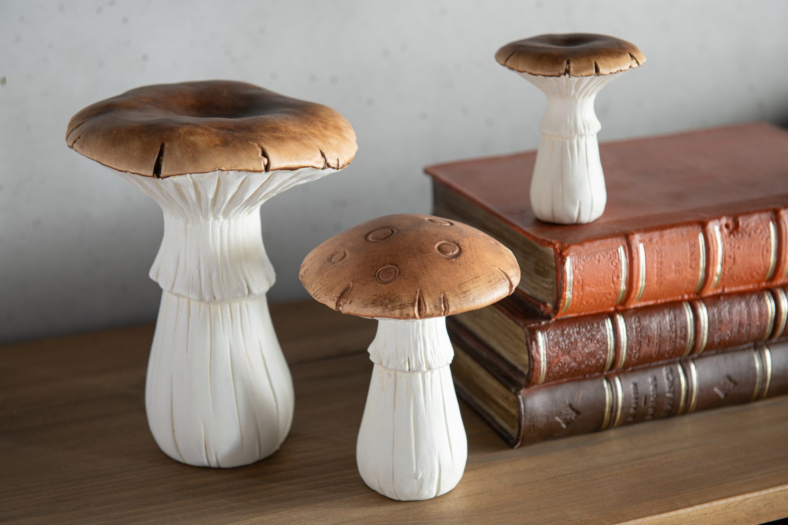 J-Line decoratie Paddenstoel - porselein - wit/bruin - medium - 2 stuk