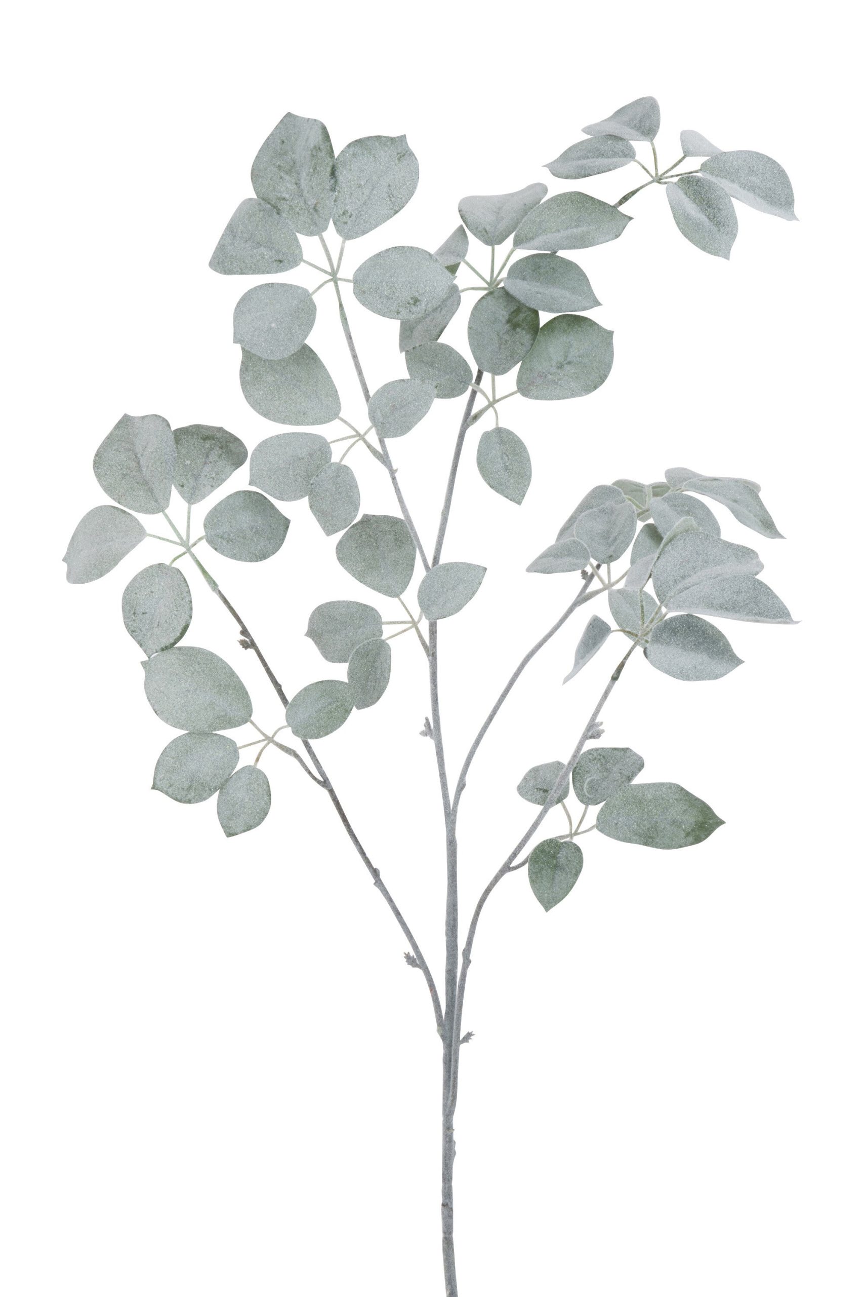 J-Line decoratie Tak Schefflera Gevlokt - kunststof - groen - 6 stuks
