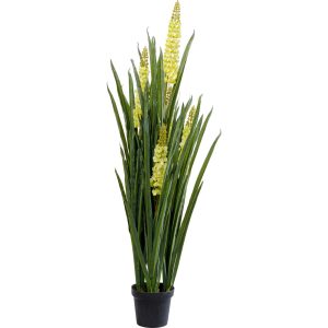 Kare Design Kunstplanten – Rhynchostylis – 150cm