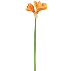 J-Line bloem Amaryllis 3 Bloem – kunststof – lichtoranje – 12 stuks J-Line bloem Amaryllis 3 Bloem – kunststof – lichtoranje – 12 stuks