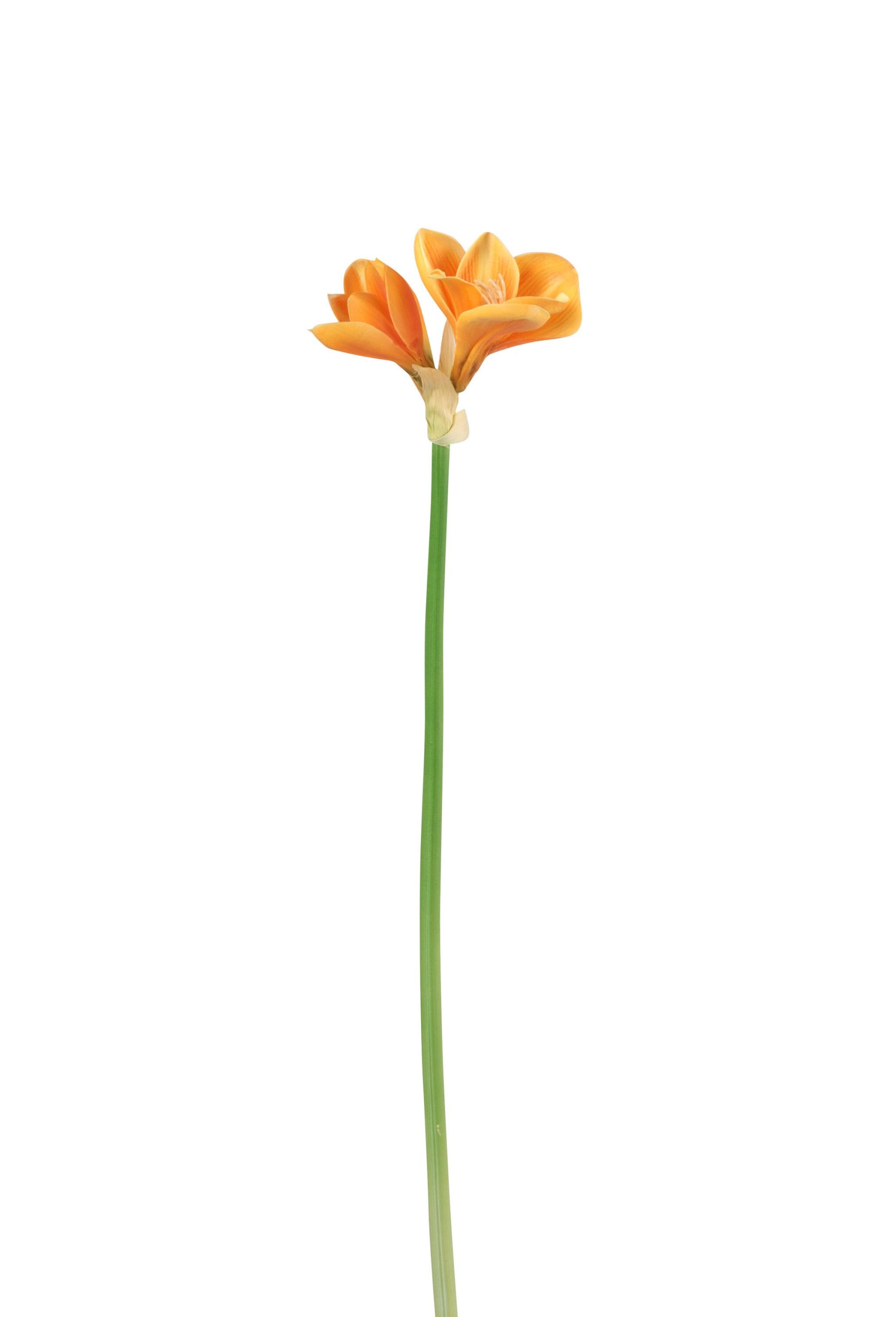 J-Line bloem Amaryllis 3 Bloem - kunststof - lichtoranje - 12 stuks