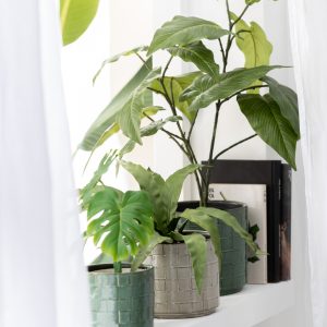J-Line bloempot Vierkant – keramiek – groen – medium – Ø 14 cm J-Line bloempot Vierkant – keramiek – groen – medium – Ø 14 cm