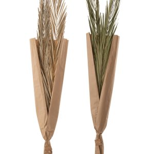 J-Line droogbloemen – Bladeren Khajur – groen – 2 stuks
