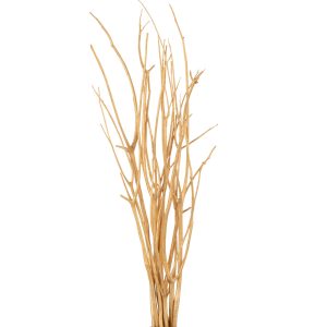 J-Line decoratie tak droogbloemen – riet – goud – small – 3 stuks