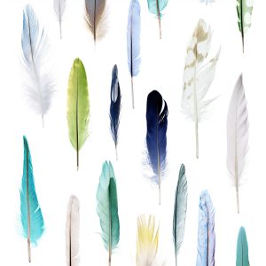 ESTAhome XXL behang veren groen, blauw en beige – 50 x 900 cm – 158602