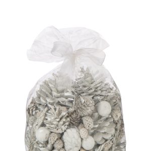 J-Line droogbloemen – riet – wit