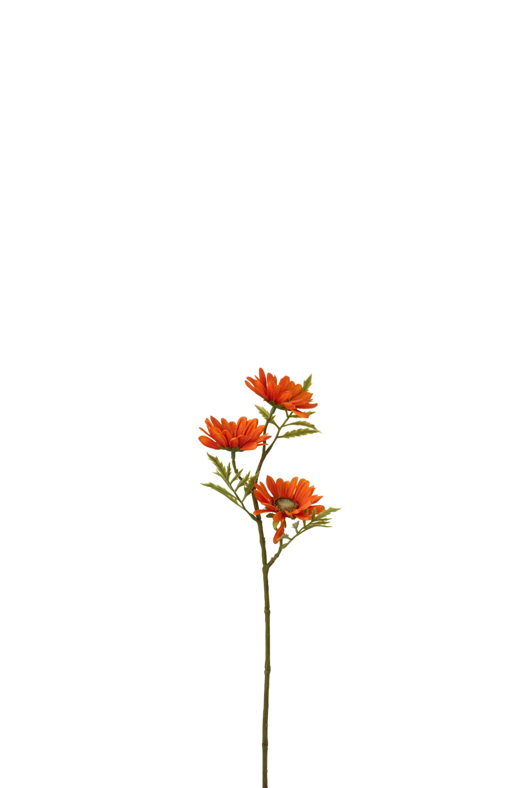 J-Line bloem Madelief - kunststof - oranje - 36 stuks