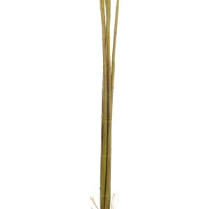 J-Line decoratie tak Bamboebundel – kunststof – groen – large – 6 stuk