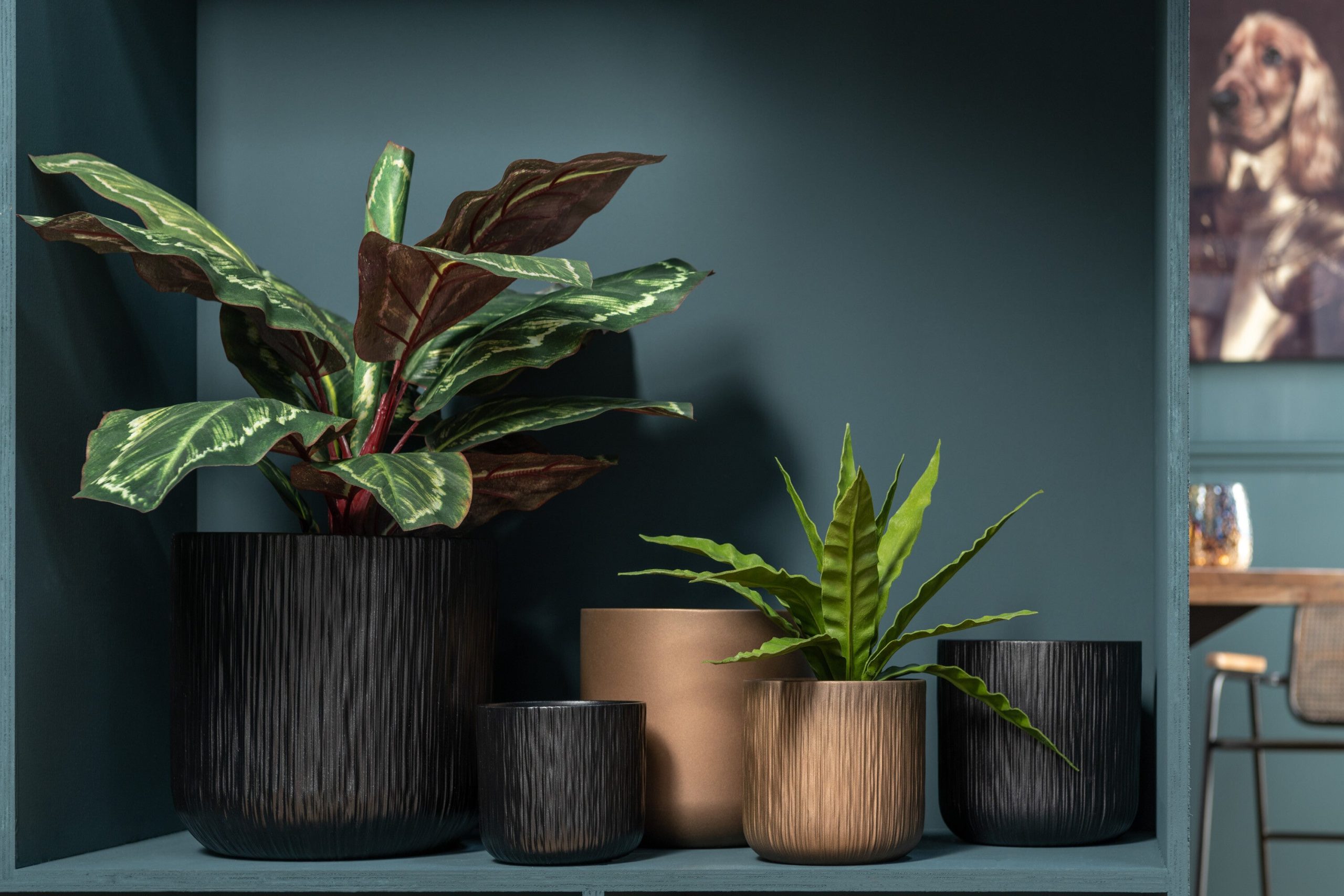 J-Line plant Peacock Plant In Pot - kunststof - groen
