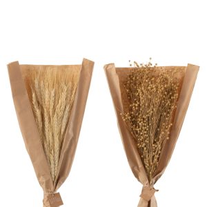 J-Line droogbloemen – Bundel gedroogde Vlas + Tarwe grass – naturel –