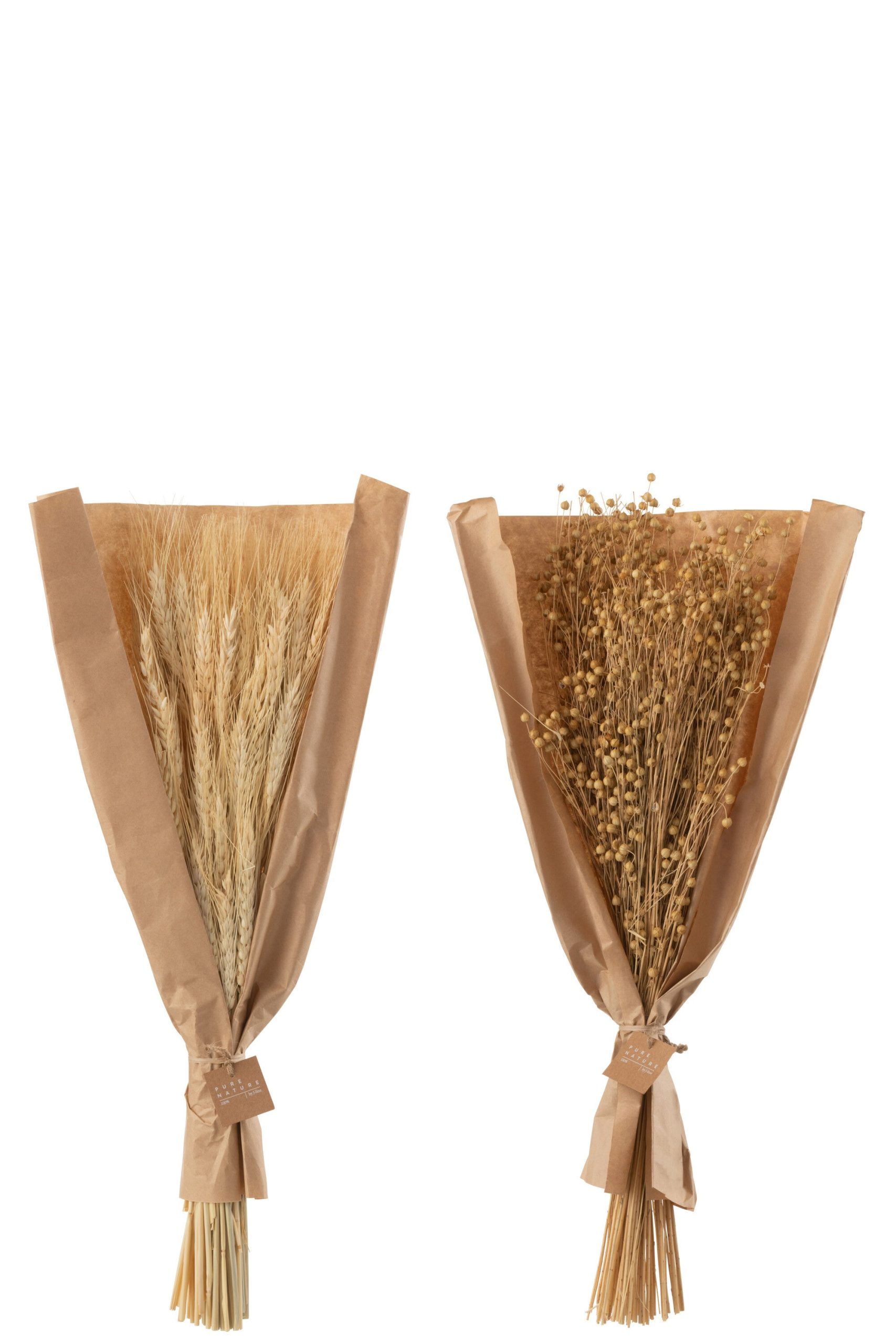 J-Line droogbloemen - Bundel gedroogde Vlas + Tarwe grass - naturel -