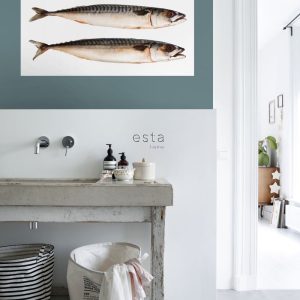 ESTAhome muursticker vissen grijs – 97 x 48.5 cm – 159040 ESTAhome muursticker vissen grijs – 97 x 48.5 cm – 159040