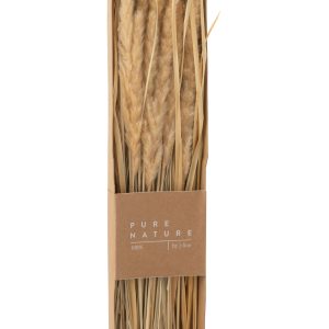 J-Line droogbloemen – doos gedroogde grass – naturel