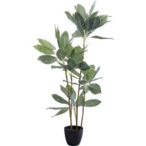 Kare Design Kunstplanten – Calathea – 140cm