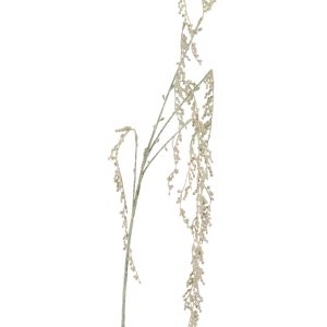 J-Line kunstplant Senecio Rowleyan – kunststof – ecru – 12 stuks J-Line kunstplant Senecio Rowleyan – kunststof – ecru – 12 stuks