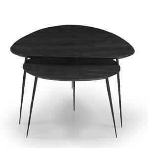 Giga Meubel Salontafel Remi – Organisch – Mangohout – Set van 2