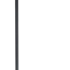 EGLO vloerlamp Majone – e27 – smoke glas – 151 cm – zwart
