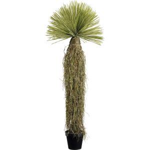 Kare Design Kunstplanten – Yucca – 180cm