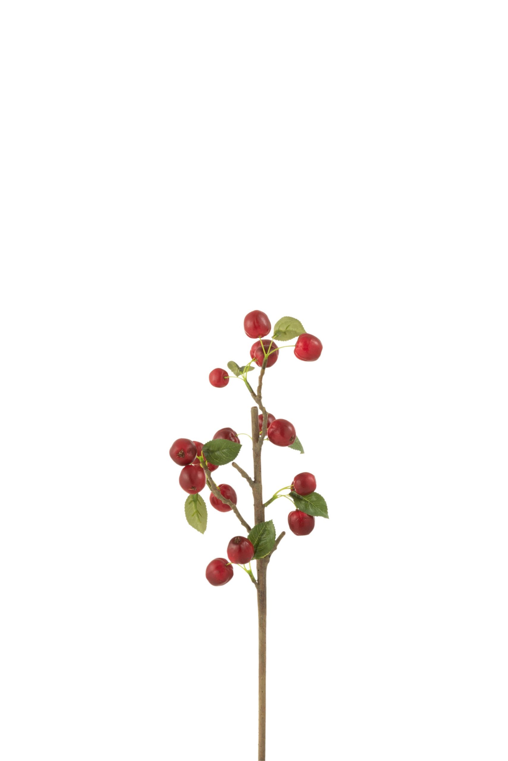 J-Line decoratie tak Bessen Dik - kunststof - rood/groen - small - 12