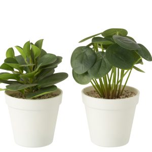 J-Line plant in pot – kunststof – groen – 2 stuks J-Line plant in pot – kunststof – groen – 2 stuks