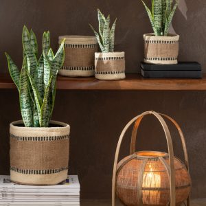 J-Line mand Rond + Band – jute – naturel/beige – extra small – 2 stuks J-Line mand Rond + Band – jute – naturel/beige – extra small – 2 stuks