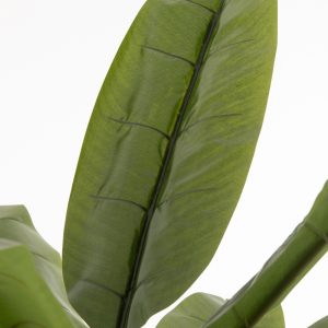 J-Line Vioolbladplant – kunststof – groen