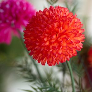 J-Line bloem Chrysant – kunststof – oranje J-Line bloem Chrysant – kunststof – oranje