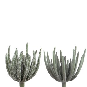 J-Line plant Echeveria – kunststof – groen – medium – 2 stuks J-Line plant Echeveria – kunststof – groen – medium – 2 stuks