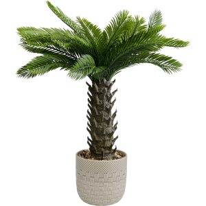 Kare Design Kunstplanten – Cycas – 70cm