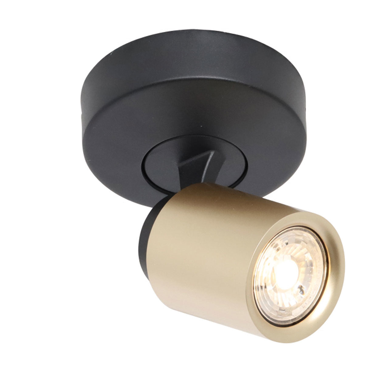 Freelight spot Razza - 1 lichts - 11 x 14 cm - zwart goud