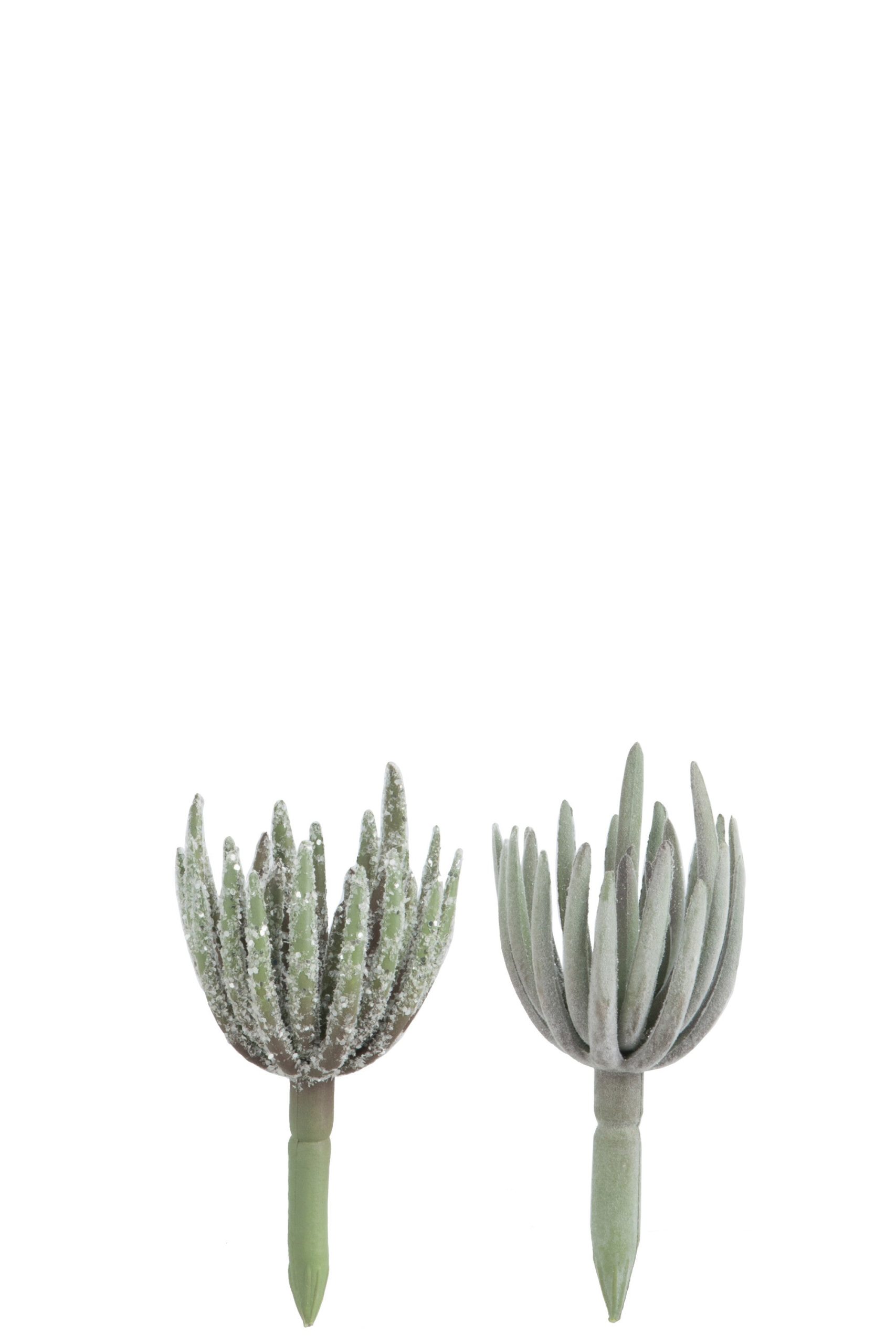 J-Line plant Echeveria - kunststof - groen - small - 2 stuks