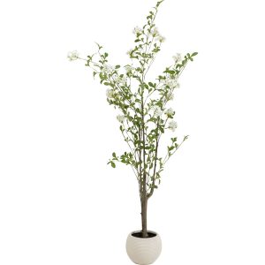 Kare Design Decoratie plant Plumbago 152cm