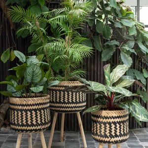 J-Line plant Pothos Plant In Pot – kunststof – groen J-Line plant Pothos Plant In Pot – kunststof – groen