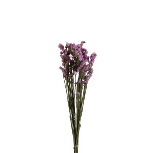 J-Line droogbloemen – Bundel 'Vergeet Mij Nietje' – riet – paars