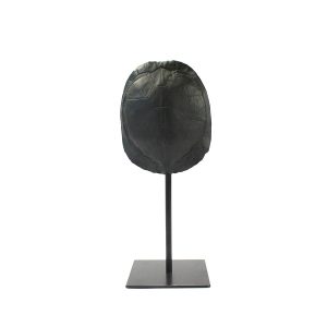 FurniLux Katana small Zwart – Schildpad – 11x10x26.5cm FurniLux Katana small Zwart – Schildpad – 11x10x26.5cm