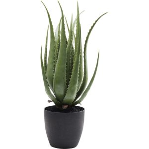 Kare Design Kunstplanten – aloe – 69cm