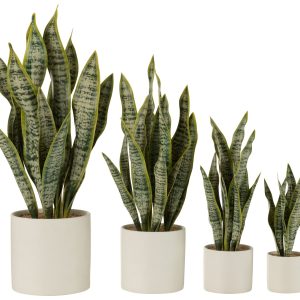 J-Line plant Sansevieria In Pot – kunststof – groen – extra large J-Line plant Sansevieria In Pot – kunststof – groen – extra large