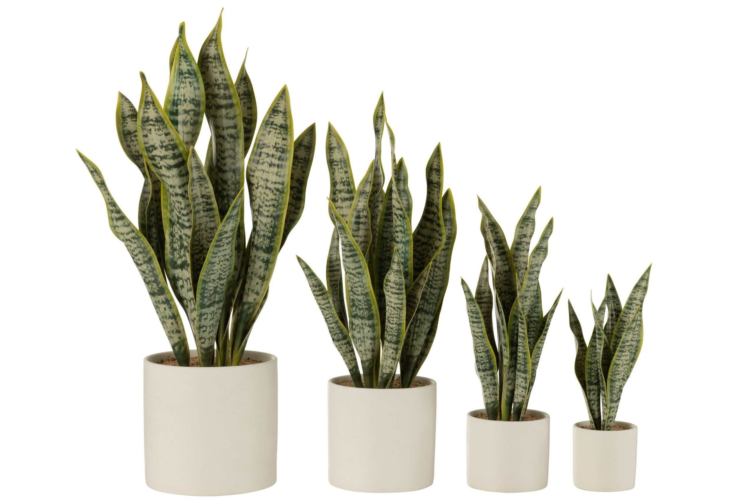 J-Line plant Sansevieria In Pot - kunststof - groen - extra large