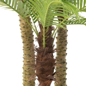 J-Line palmboom 3delig Real Touch – kunststof – groen J-Line palmboom 3delig Real Touch – kunststof – groen