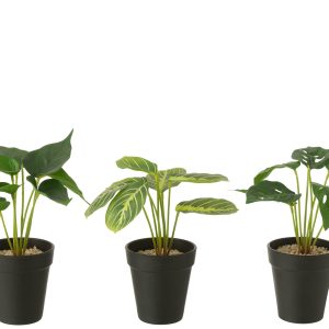J-Line plant in pot – kunststof – groen – 3 stuks J-Line plant in pot – kunststof – groen – 3 stuks