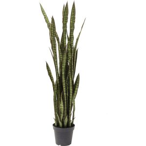 Kare Design Kunstplanten – Sansevieria – 155cm