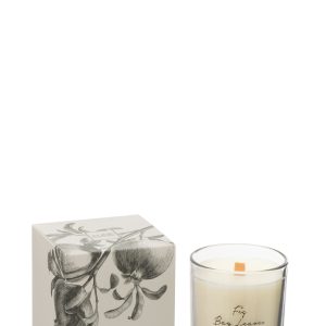 J-Line geurkaars Vijgen Bessen – Fig Bay Leaves – large – 50U