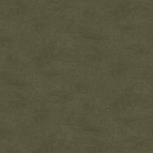 LOOKS by Wolfgang Joop Vliesbehang – Uni – Groen – 10mx53cm LOOKS by Wolfgang Joop Vliesbehang – Uni – Groen – 10mx53cm