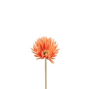 J-Line bloem Gerbera Virgin – kunststof – oranje – 12 stuks J-Line bloem Gerbera Virgin – kunststof – oranje – 12 stuks