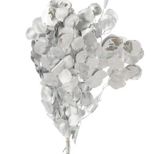 J-Line droogbloemen Eucalyptus – riet – zilver