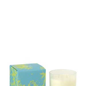 J-Line geurkaars Oasis – Spring Ivy & Neroli – polyresin – blauw/groen