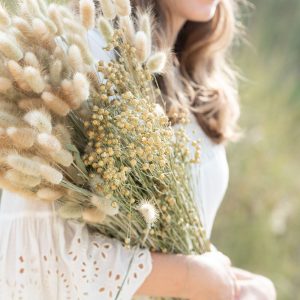 J-Line droogbloemen – Bundel Hazenstaart – riet – naturel