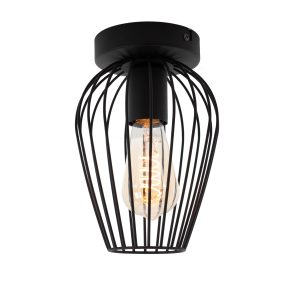 EGLO plafondlamp Newtown – e27 – staal – zwart EGLO plafondlamp Newtown – e27 – staal – zwart