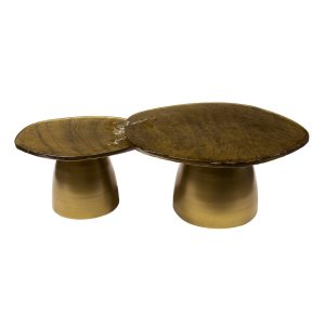 Giga Meubel Salontafel Eclipse – Goud Metaal/Glas – Set van 2 – 80x70x Giga Meubel Salontafel Eclipse – Goud Metaal/Glas – Set van 2 – 80x70x